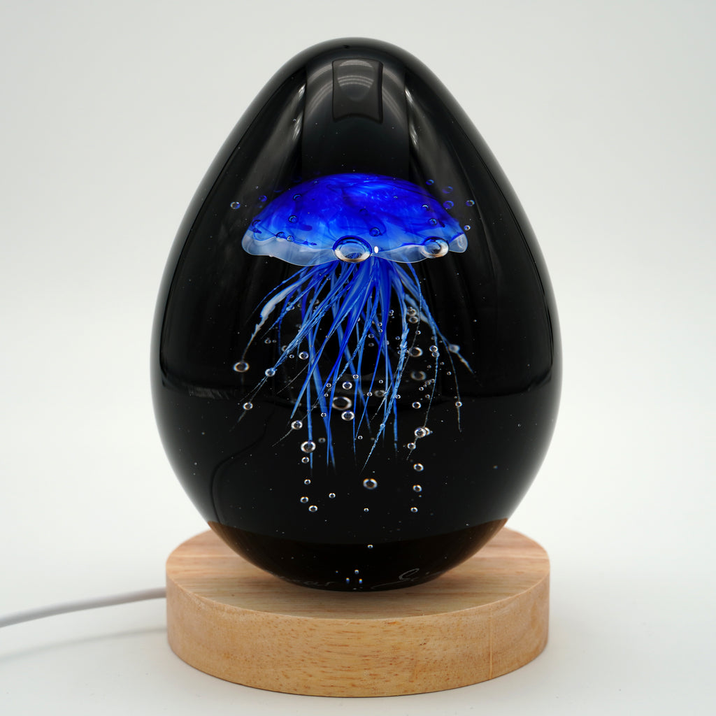 Méduse à fond noir (11 couleurs)