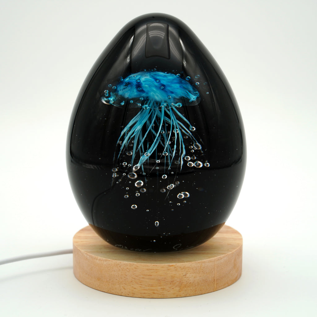 Méduse à fond noir (11 couleurs)