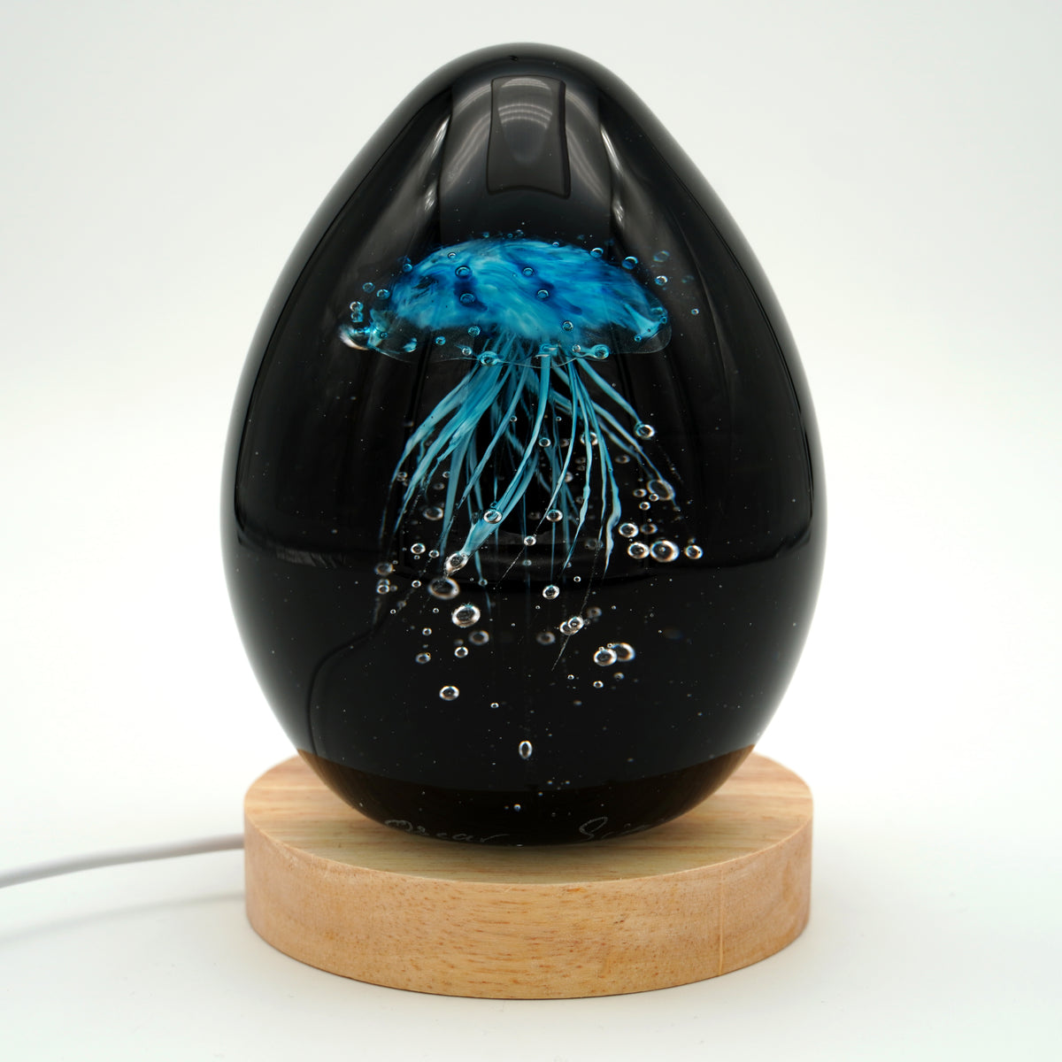 Méduse à fond noir (11 couleurs)