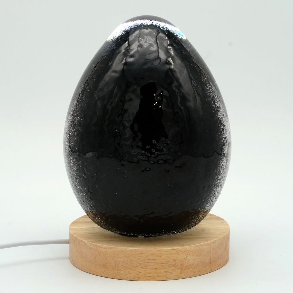 Méduse à fond noir (11 couleurs)