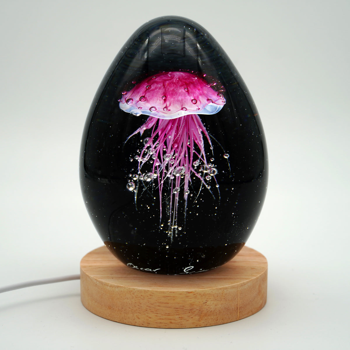 Méduse à fond noir (11 couleurs)