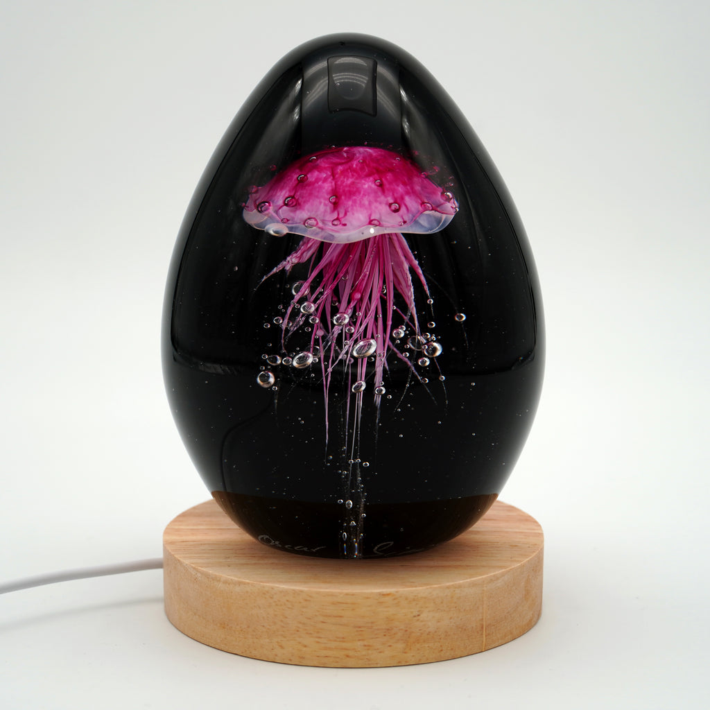 Méduse à fond noir (11 couleurs)