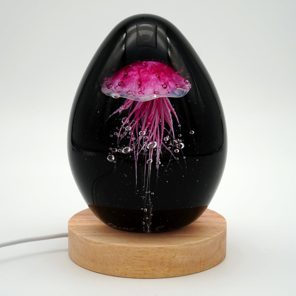 Méduse à fond noir (11 couleurs)