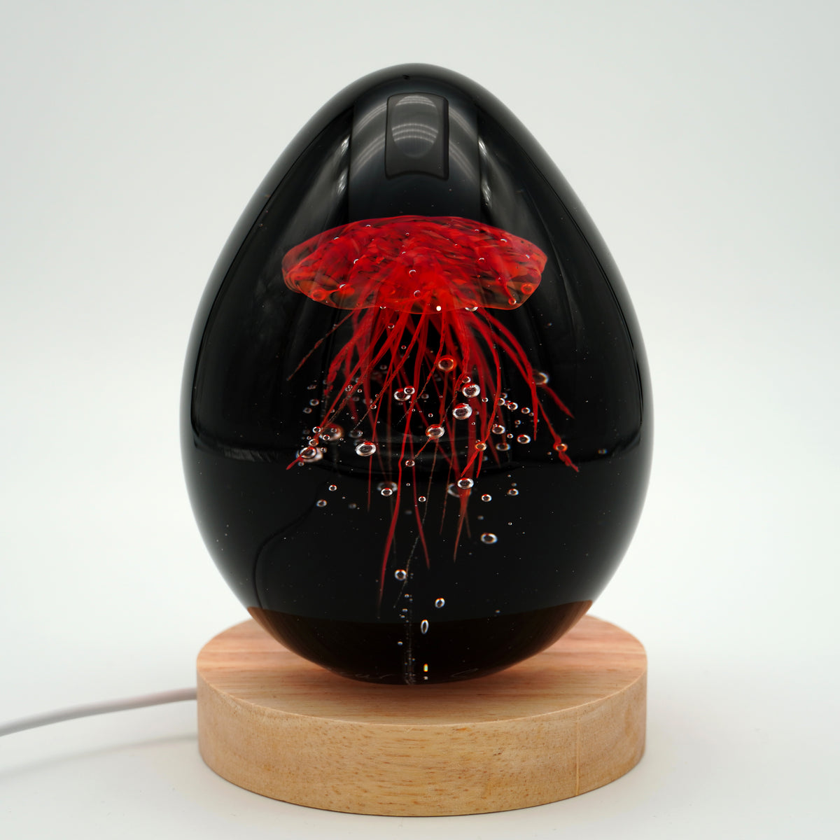Méduse à fond noir (11 couleurs)